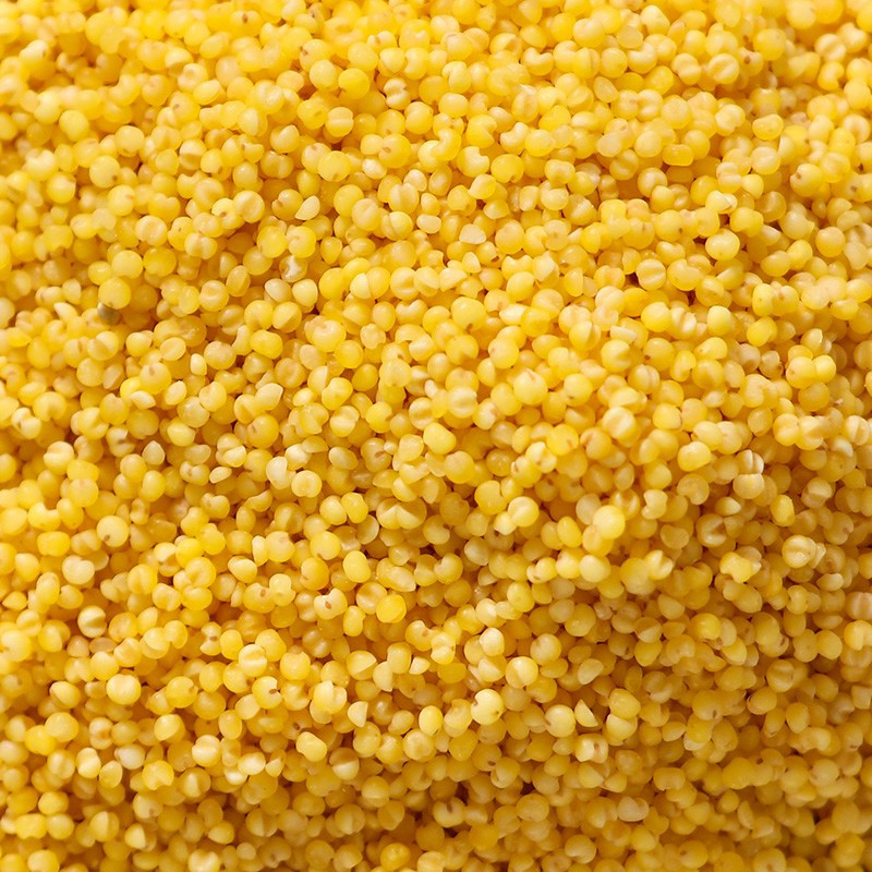 品冠膳食黄小米真空包装1kg2斤五谷杂粮小米粥小黄米粗粮月子米大米