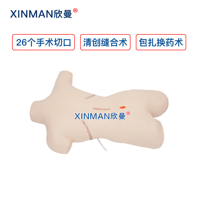 欣曼科教 外科缝合包扎展示模型 清创缝合拆线换药模拟人XM-LV18高清大图