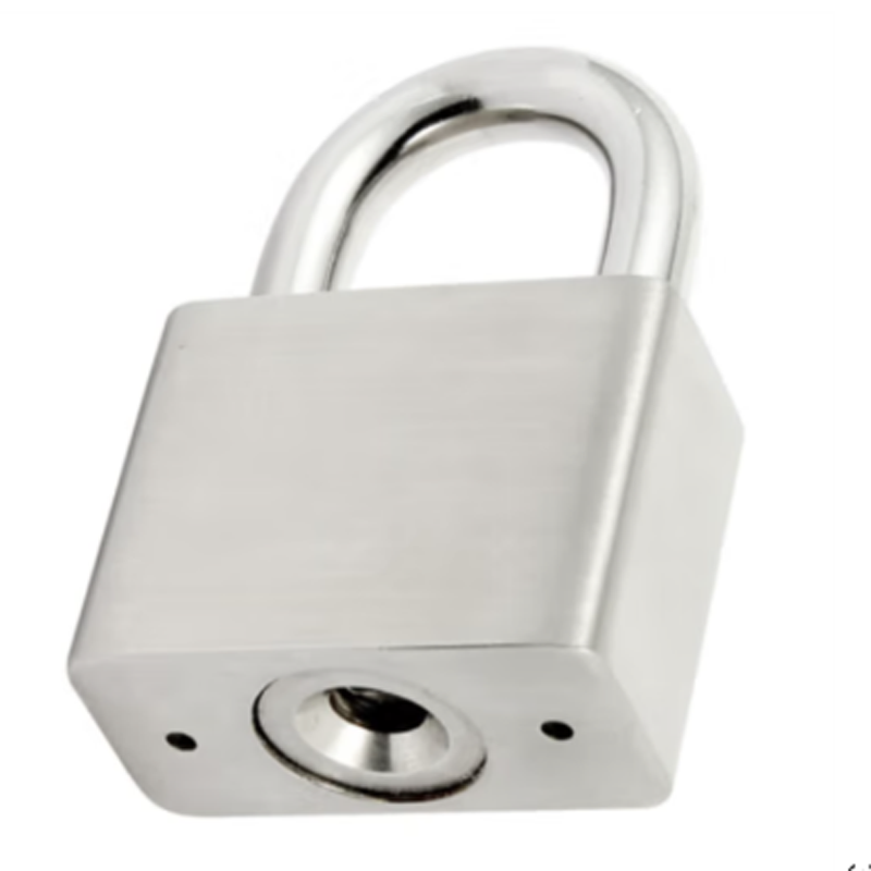 鸿灵睿芯 GS04 不锈钢 30mm*20mm 挂锁 (计价单位:个)银色高清大图