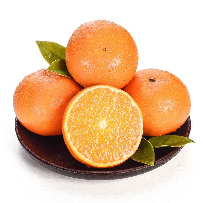 现摘现发云南高原沃柑山地种植自然生长肉嫩多汁甜美爽口新鲜水果孕妇