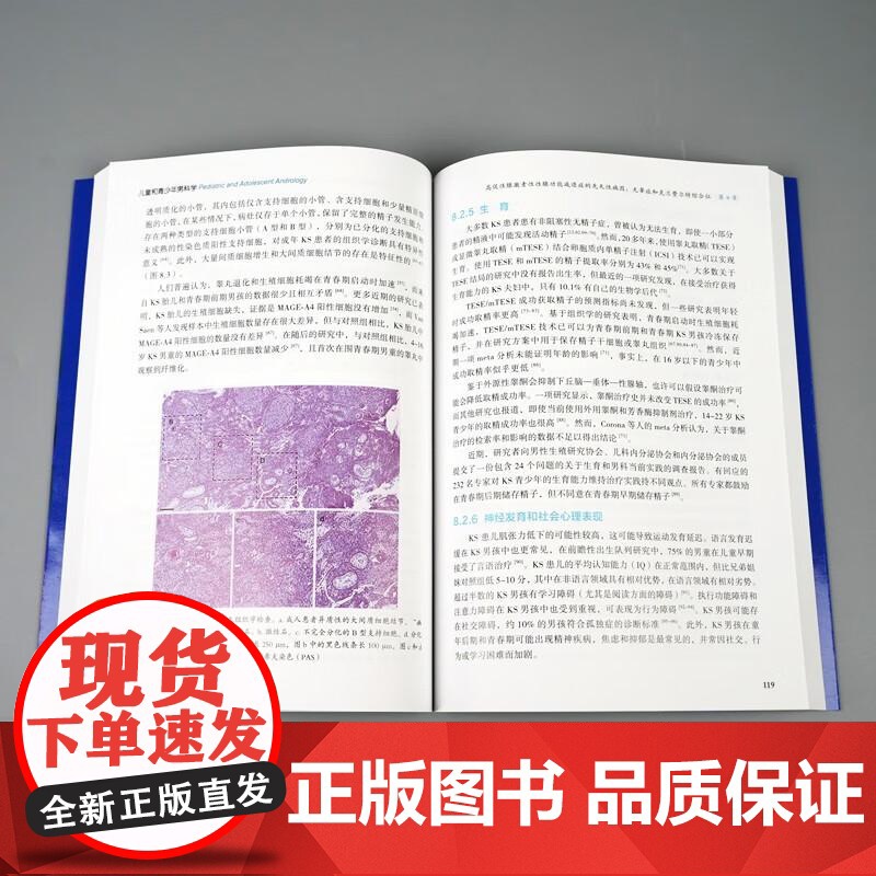儿童和青少年男科学 主译 谢远志 沙艳伟 9787523213407 世界图书西安 男性生殖系统发育过程中的遗传学基础与高清大图