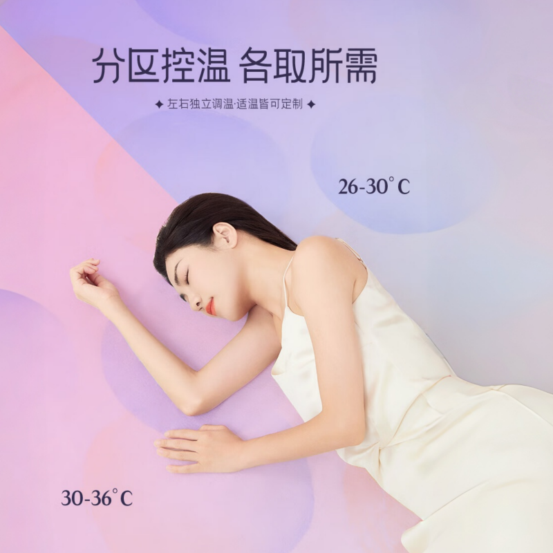 彩虹双人自动断电智能定时除螨双温双控无纺布电热毯电褥子1.8*1.5米 T1815高清大图