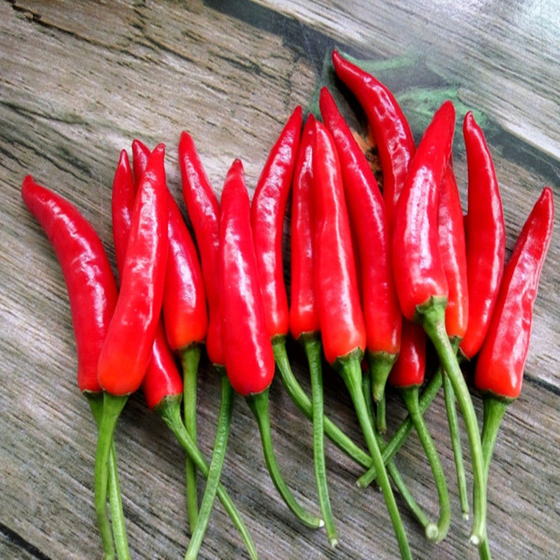 新鲜辣椒四川小米椒超辣土红椒朝天椒小尖椒 精品小米辣(巨辣) 5斤装