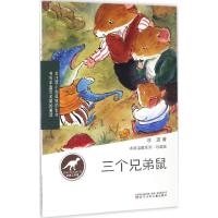 三个兄弟鼠 冰波 著 著 少儿 文轩网