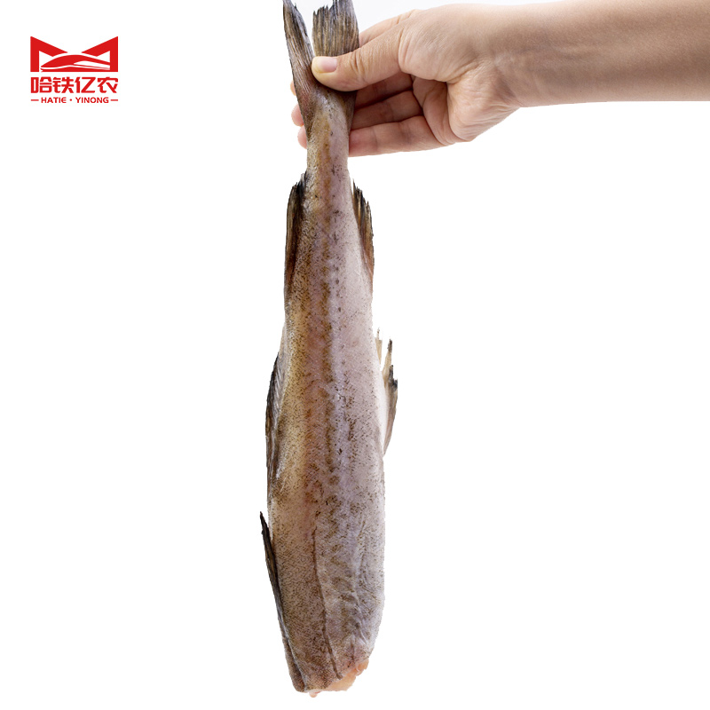 哈铁亿农 鳕鱼 22kg/件高清大图