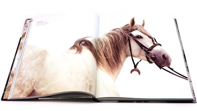 [正版]DK马类图解百科全书 The Horse Encyclopedia 英文原版马类品种 进化解剖起源知识 护理喂高清大图