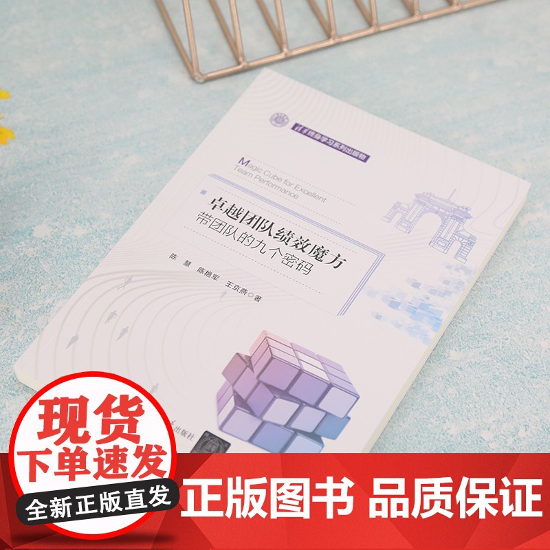 卓越团队绩效魔方 带团队的九个密码 陈慧等 著 管理高清大图