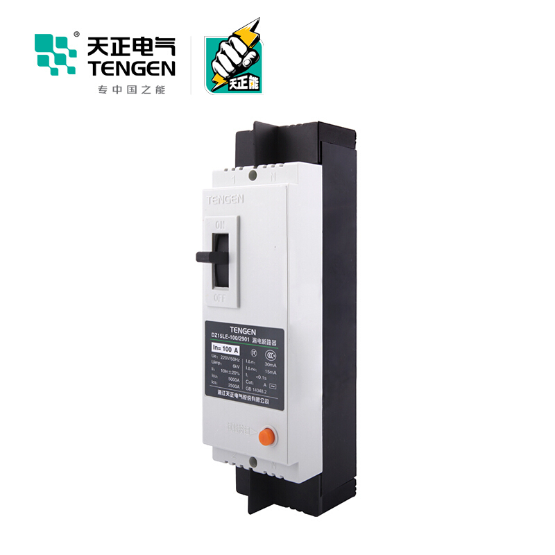 天正电气DZ15LE-100 5KA热磁式100A 2P 手动 固定式 220V 01020010008 塑壳漏电断路器