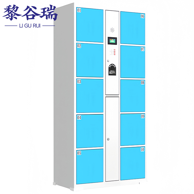 黎谷瑞智能寄存柜 智能存放柜10门指纹台