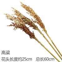 麦穗干花花束开业大麦客厅田园装饰稻穗摆件插花拍摄道具