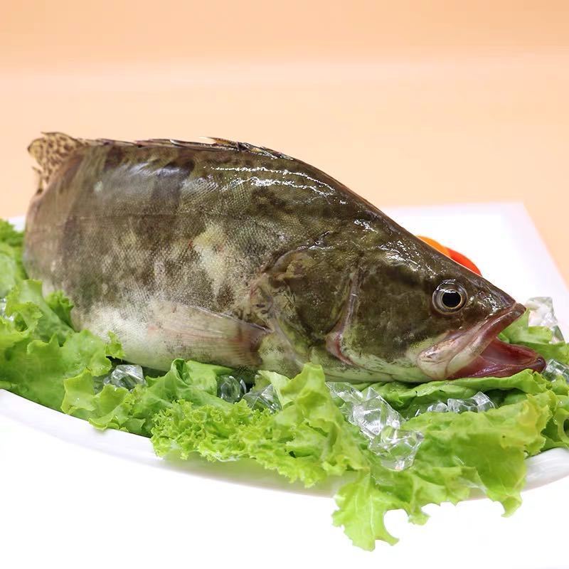 赛卡伊冰鲜桂鱼152斤条高品质冰鲜鳜鱼桂鱼桂花鱼季花鱼海鲜水产高