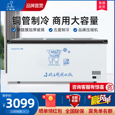 小鸭(xiaoya)商用大容量卧式冷柜冰柜玻璃展示柜BXS-2500SBX