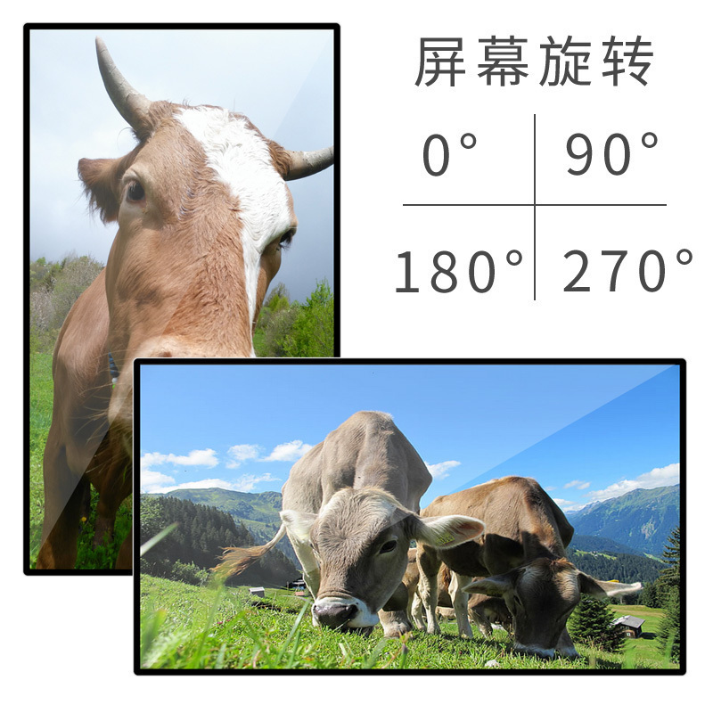 昌裕CY-CK-B6Y65 65寸壁挂触摸广告机 触摸显示屏 触控一体机高清大图