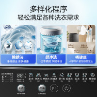 美的(Midea)波轮洗衣机全自动家用 MB80V36T 8公斤 免清洗 宿舍租房 随心洗 以旧换新 家电国家补贴