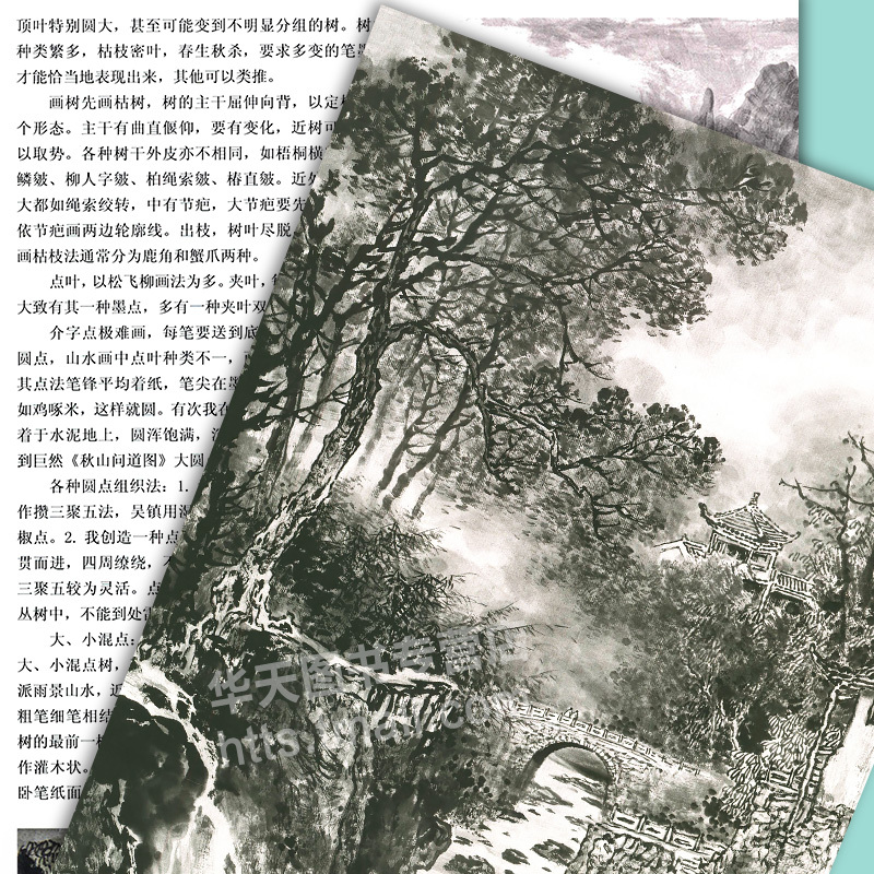 [正版]8开本全6册施云翔山水画教程云水山石树木+山水画范图水墨浅绛彩墨写生绘画步骤详解画集青绿山水画技法讲座 天津人