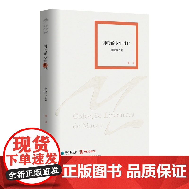 神奇的少年时代(澳门文学丛书)一部文艺青年演化史,澳门80后的成长片段、青春记忆高清大图