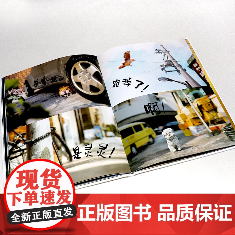 我是狗 精装硬壳 云朵面包作者白希那经典绘本系列我是狗 2020年 林格伦文学奖白希那全新力作幼儿园宝宝亲子阅读睡前读物高清大图