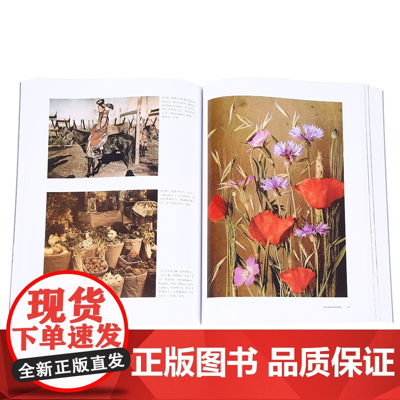 世界摄影史 十二五国家重点图书中国摄影出版社摄影艺术(新)理论研究专业26高清大图
