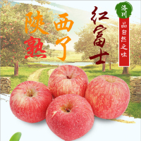 陈小四水果 正宗洛川红富士苹果 9斤带箱 单果75-80mm应季苹果 新鲜水果 生鲜水果
