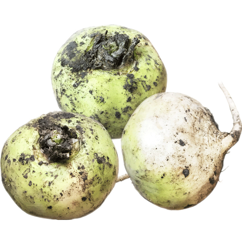 恰玛古新鲜新疆特产25kg强碱食物柯坪县恰麻姑蔬菜空运