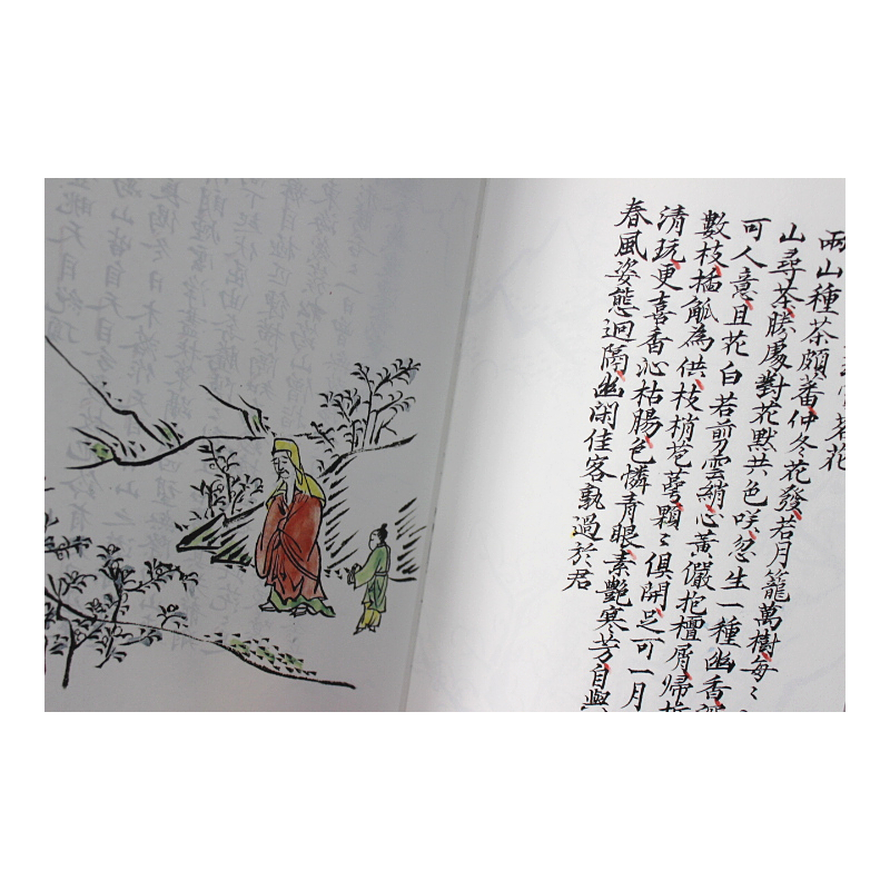 [正版]四时幽赏 日本画 中国古典诗词欣赏 书法鉴赏 书画欣赏 西泠印社出版社