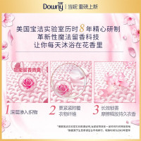 当妮(Downy)护衣留香珠 非柔顺剂 防静电 洗衣香珠 十倍持久留香 (玫瑰之巅)200g/瓶
