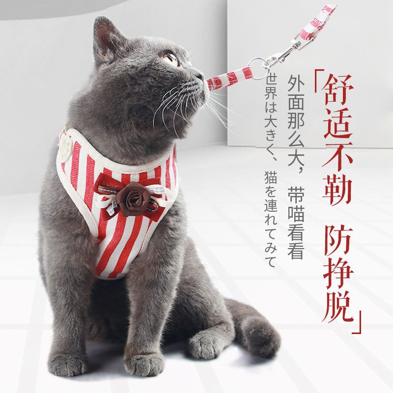 红色贴布1.0 猫咪牵引绳猫绳子遛猫绳胸背带防挣脱栓猫绳背心式幼猫链子溜猫绳