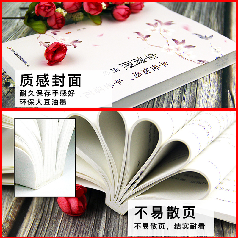 [正版]飞花令李清照词传半生烟雨半世桃花千古才女诗词一生中国古诗词鉴赏古典文学人物传记青春文学诗词歌赋书籍词集全集