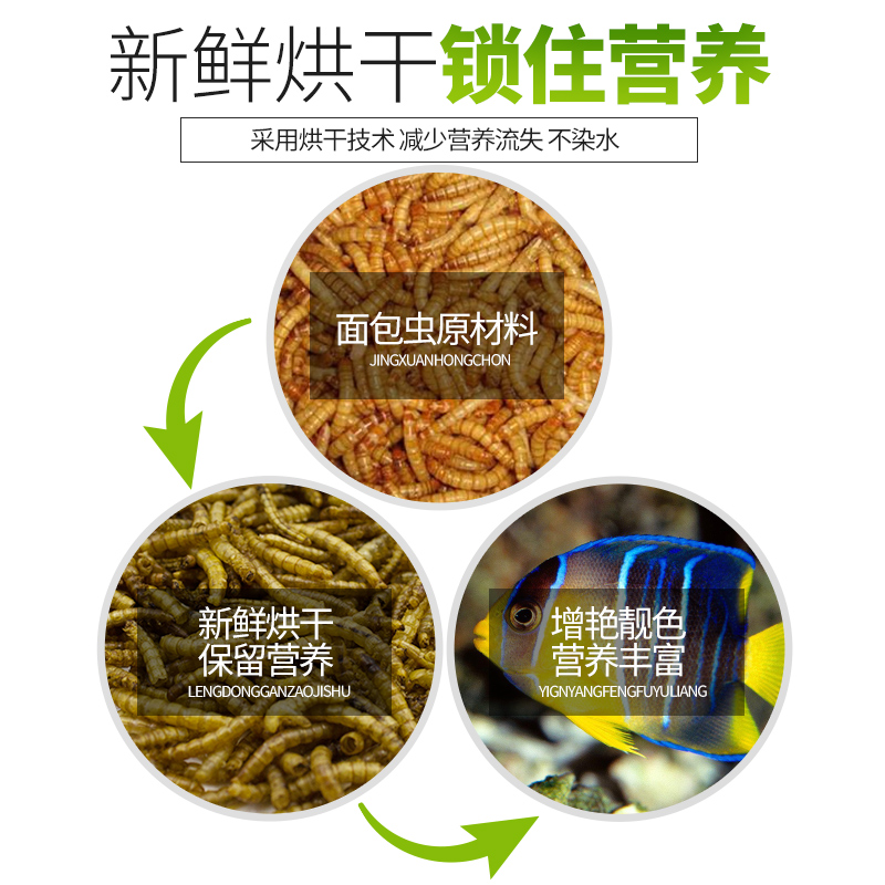 面包虫干粉虫血鹦鹉罗汉鱼粮龙鱼乌龟鸟主粮金丝熊刺猬仓鼠饲料高清大图