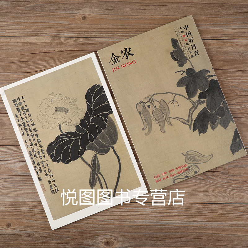[正版]金农画集中国好丹青大师册页精品复制金农画册人物山水花卉杂画梅花图作品集80幅高清大图临摹研习教学范本四川美术97高清大图