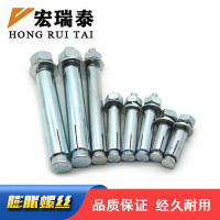 宏瑞泰 膨胀螺丝 M12*110 个