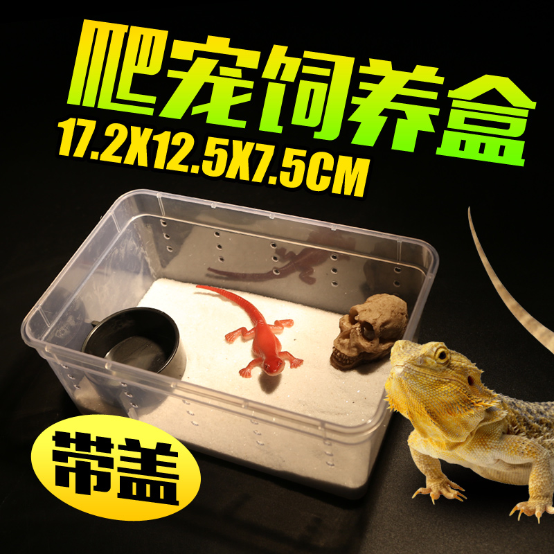 爬虫爬宠蛇龟蜘蛛守宫蜥蜴蝎子角蛙壁虎甲虫昆虫塑料饲养盒饲养箱高清大图