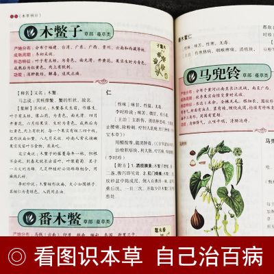 [彩图加厚版]正版李时珍全 图解本草纲目 中医养生健康书籍大全