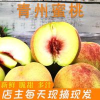 【顺丰速运】5斤装现摘青州蜜桃新鲜水果桃子毛桃脆桃约12-20个