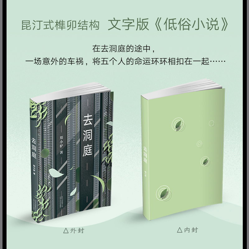 醉染图书去洞庭9787530218914高清大图