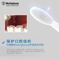 西屋(Westinghouse)牙刷头WT04声波震动式电动牙刷头亮白牙齿 含牙刷头2个 适用型号WT-101G/B