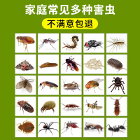 杀虫剂床上专用药家用室内无除虫喷雾毒神器驱虫书虱床虱螨虫