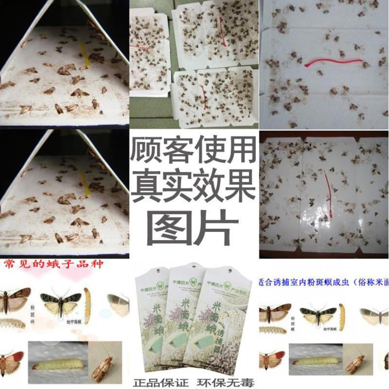 诱尔米面蛾诱捕器除灭驱粉斑螟谷螟飞蛾米虫蛾子小飞虫防捕粘板器 2片装带芯加强型 一盒