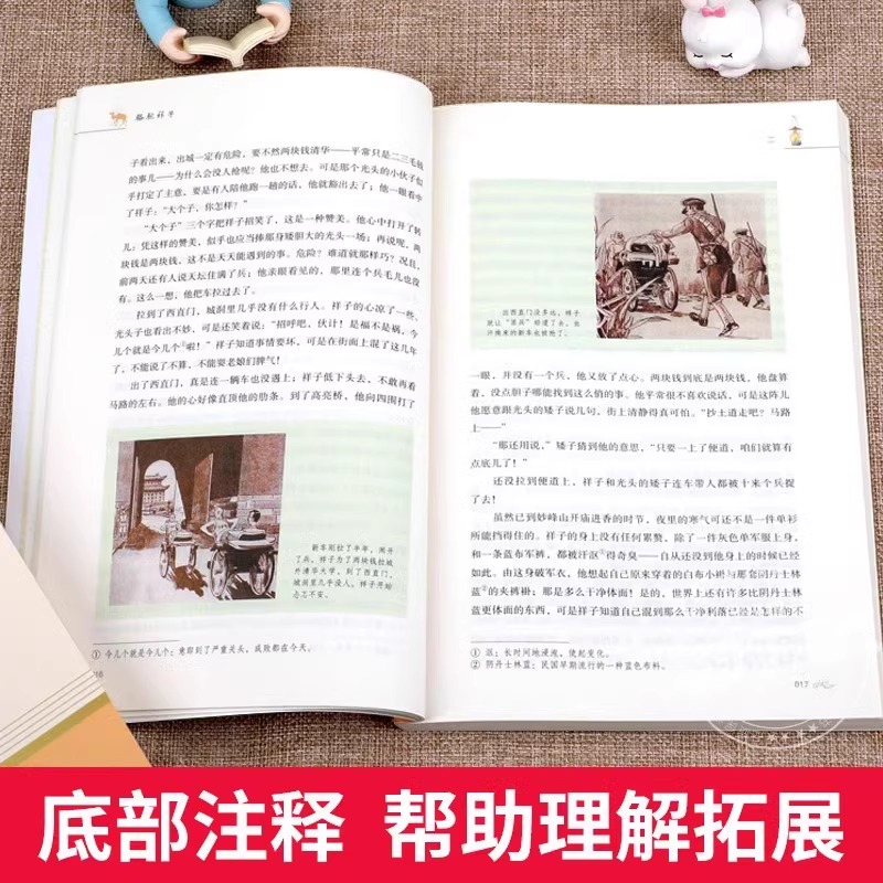 七年级上册[5本套装] [正版]人教版骆驼祥子和海底两万里原著书老舍七年级下册名著课外书初中版语文配套完整版课外阅读书籍高清大图