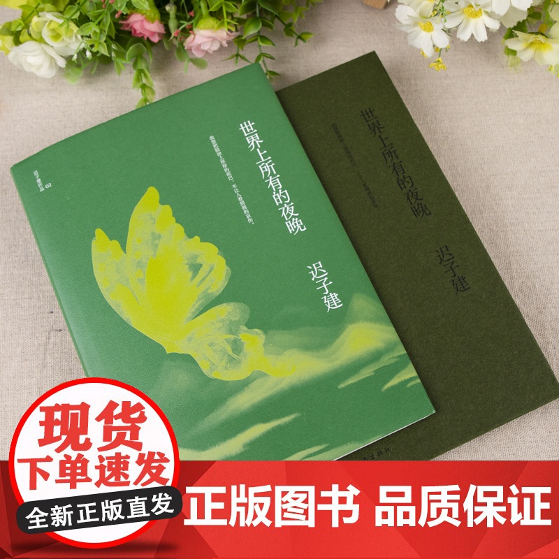 迟子建世界上所有的夜晚 迟子建散文集作品集小说集茅盾文学奖鲁迅文学奖得主新书短篇小说书籍中国现代文学作品选作家出版社高清大图