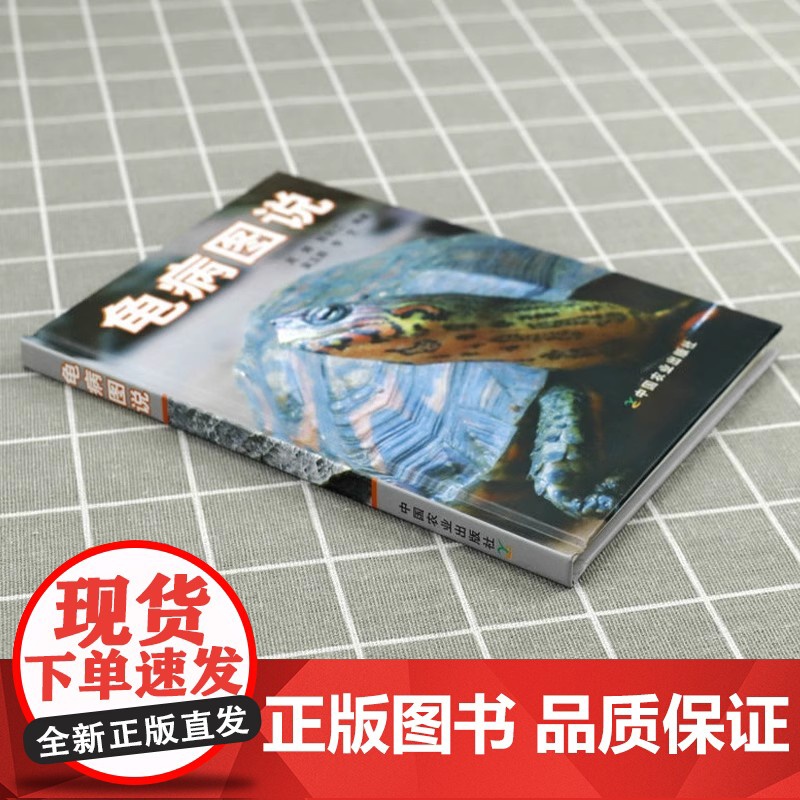 [精装]龟病图说 乌龟养殖技术养龟养好宠物龟手绘图鉴乌龟大全李艺金钱龟安布闭壳龟金钱龟乌龟书籍龟肠胃炎的书乌龟疾病书籍高清大图