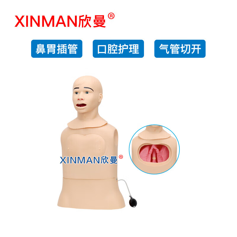 欣曼 高级鼻胃插管及口腔护理模型人 鼻饲模型XM-BWGA高清大图