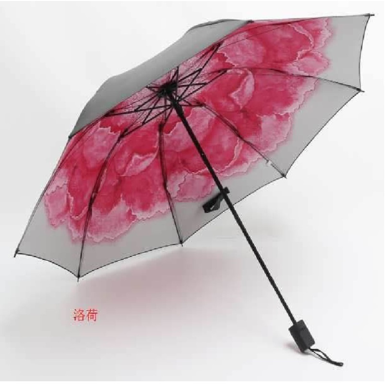 蒲公英(dandelion)定制晴雨伞