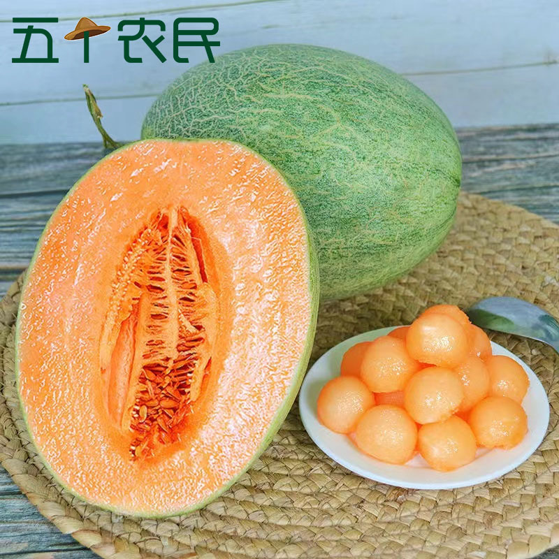 [五个农民]新疆吐鲁番哈密瓜6-7斤装 新疆产地直发 甜瓜网纹瓜西州蜜25号当季新鲜水果
