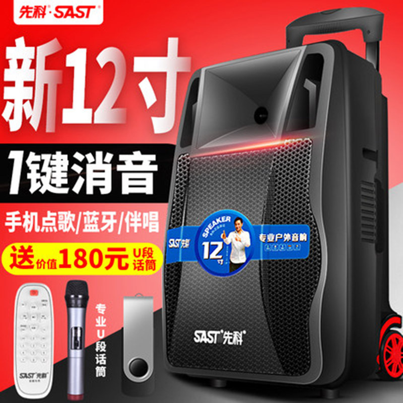 先科天韵2号广场舞音响音箱户外带无线话筒K歌家用拉杆移动便携式大功率充电蓝牙舞台重低音室外演出播放器12寸 标配+双话筒