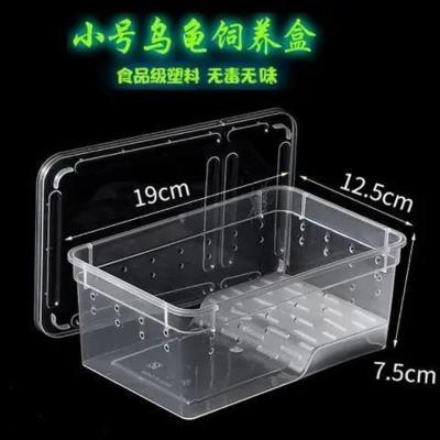 小号白色乌龟盒 塑料小乌龟缸带晒台造景小型宠物龟专用缸生态缸巴西龟饲养箱带盖