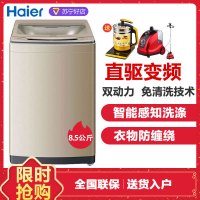 Haier海尔洗衣机 波轮洗衣机全自动8.5公斤直驱变频双动力 防缠绕家用大容量免清洗洗衣机 海尔 MS8518BZ51