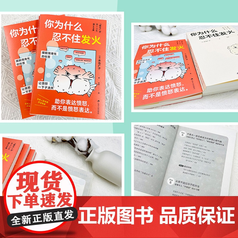 你为什么忍不住发火 风靡日本的情绪管理实用书 送给总爱生气的你 摆脱情绪化的标签 江苏人民出版社高清大图