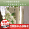望江南正版特装王旭烽茅盾文学奖获奖作品中国现当代文学名家作品精选长篇小说书籍书排行榜茶文化科普百科茶人三部曲
