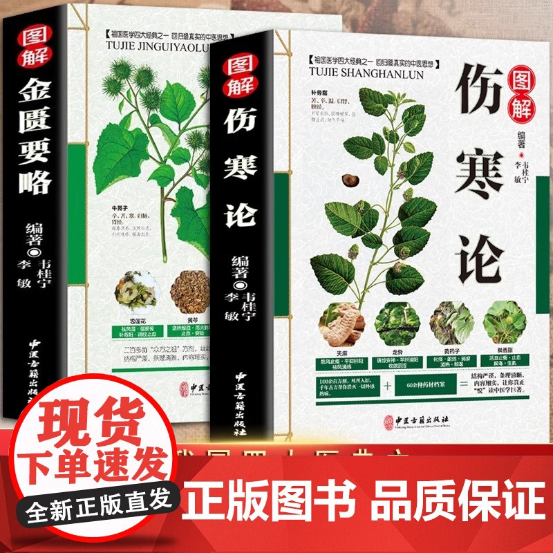 正版 伤寒论 张仲景正版+金匮要略 共两本中医临床丛书伤寒论杂病论中医四大经典名著自学入门古籍医学书中医基础理论知识高清大图